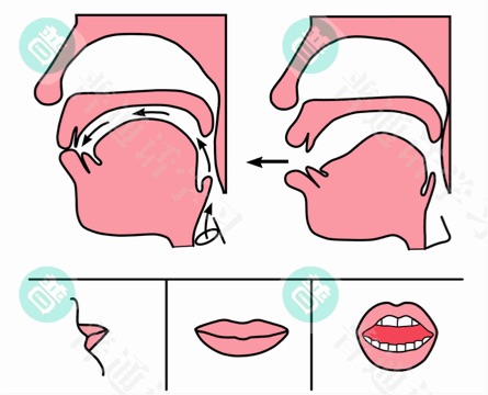 普通话水平测试,普通话考试,普通话报名官网,普通话成绩查询,普通话,普通话发音矫正,普通话等级