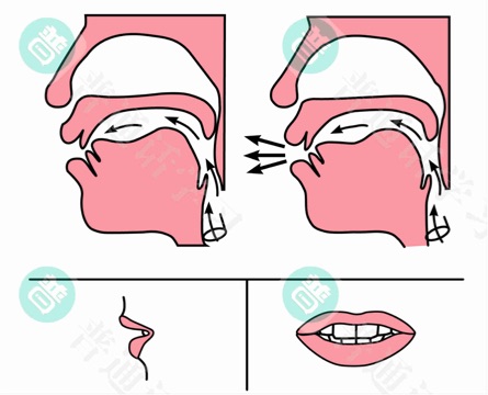 普通话水平测试,普通话考试,普通话报名官网,普通话成绩查询,普通话,普通话发音矫正,普通话等级