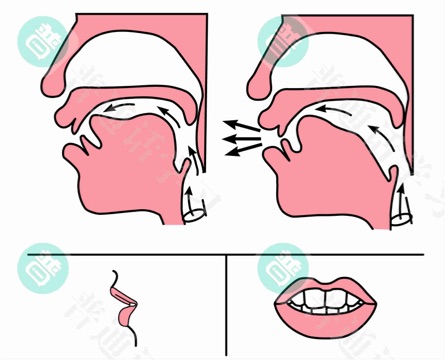 普通话水平测试,普通话考试,普通话报名官网,普通话成绩查询,普通话,普通话发音矫正,普通话等级