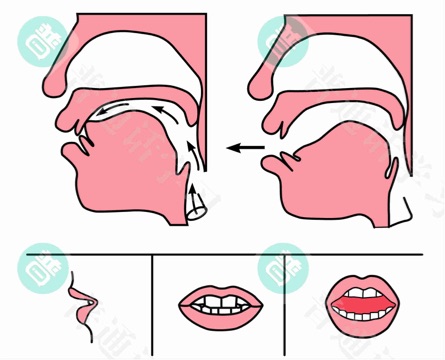 普通话水平测试,普通话考试,普通话报名官网,普通话成绩查询,普通话,普通话发音矫正,普通话等级