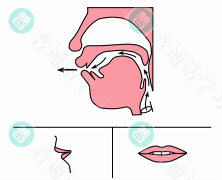 普通话水平测试,普通话考试,普通话报名官网,普通话成绩查询,普通话,普通话发音矫正,普通话等级
