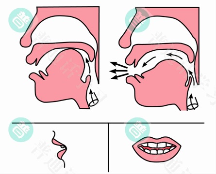 普通话水平测试,普通话考试,普通话报名官网,普通话成绩查询,普通话,普通话发音矫正,普通话等级