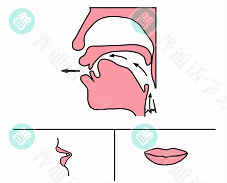 普通话水平测试,普通话考试,普通话报名官网,普通话成绩查询,普通话,普通话发音矫正,普通话等级