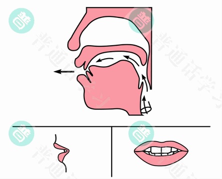 普通话水平测试,普通话考试,普通话报名官网,普通话成绩查询,普通话,普通话发音矫正,普通话等级
